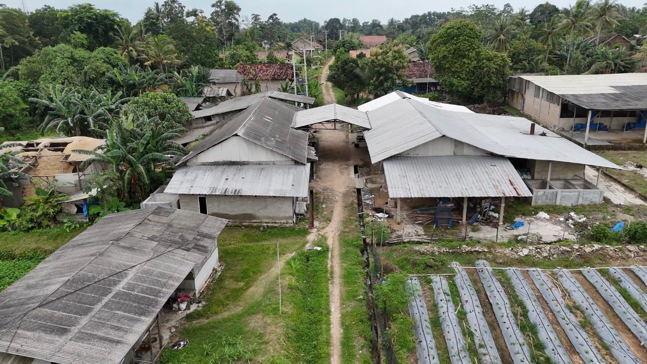 Ilustrasi pabrik padi modern CV Alvin Jaya Sejahtera